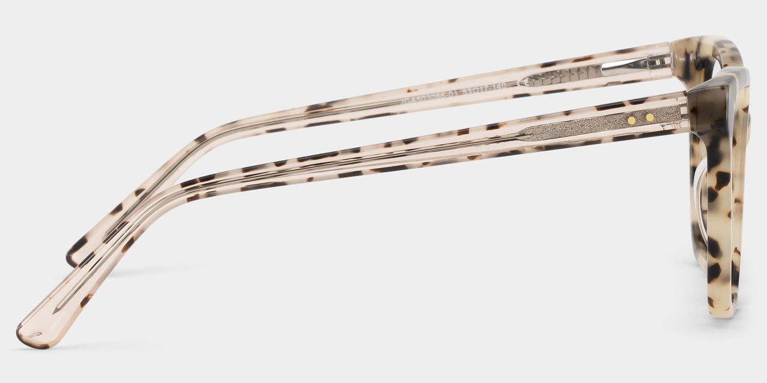 Sage Tortoise Frame Glasses with Rectangle Frame Online | ZEELOOL6