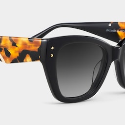 Skylar Butterfly Black Sunglasses5