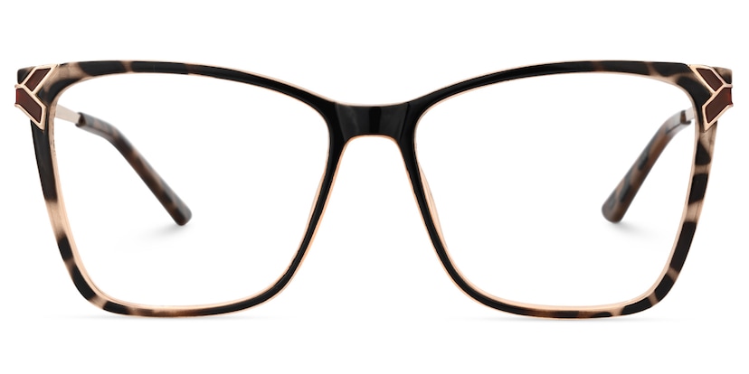 Tricee Square Tortoise Glasses