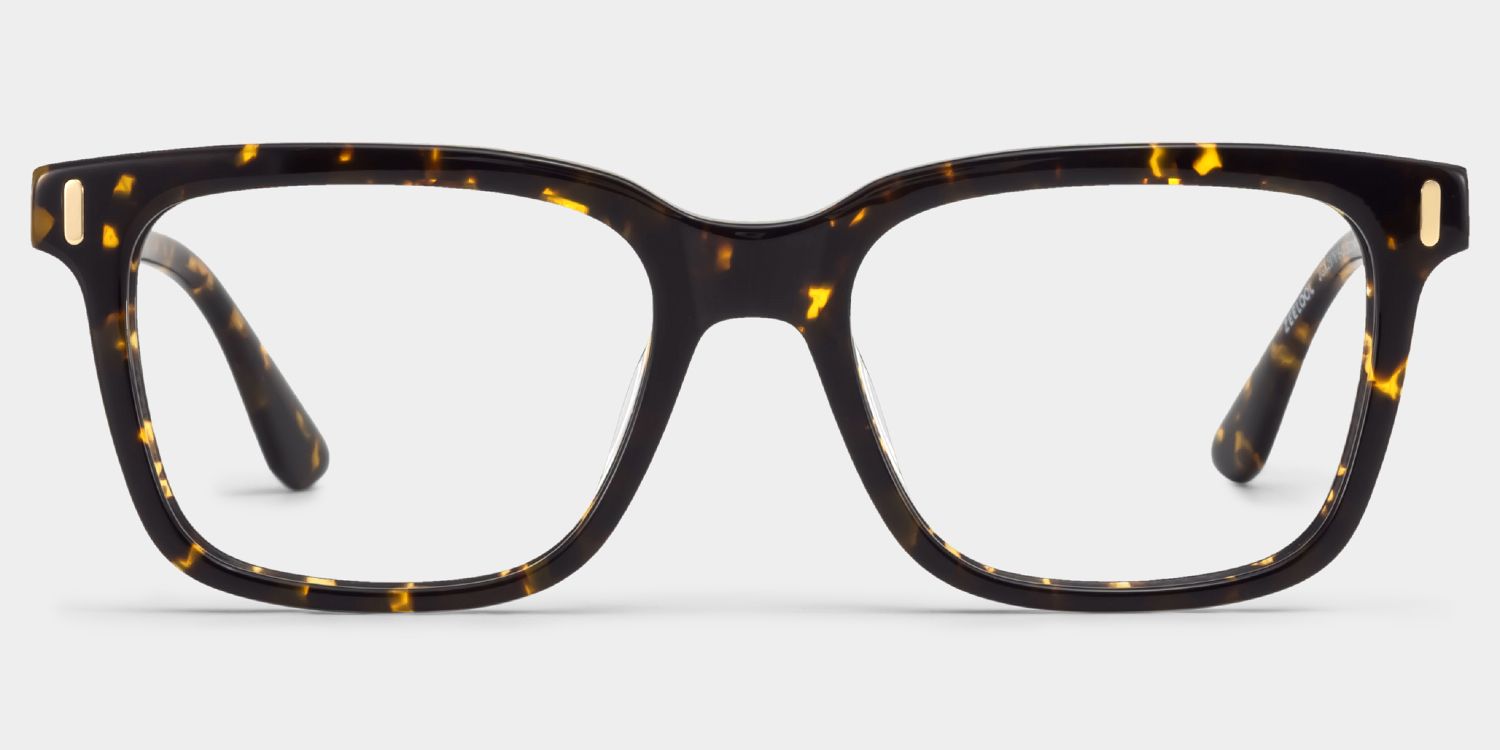Axel Tortoise Frame Glasses with Rectangle Frame Online | ZEELOOL2