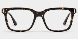 Axel Rectangle Tortoise Glasses2