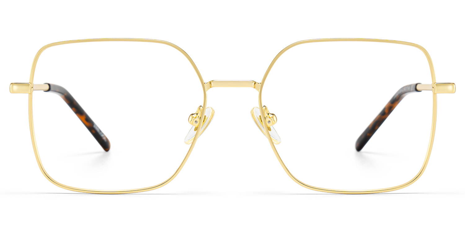 Abigail Tortoise Shell Glasses with Gold Arms for Women in Daily