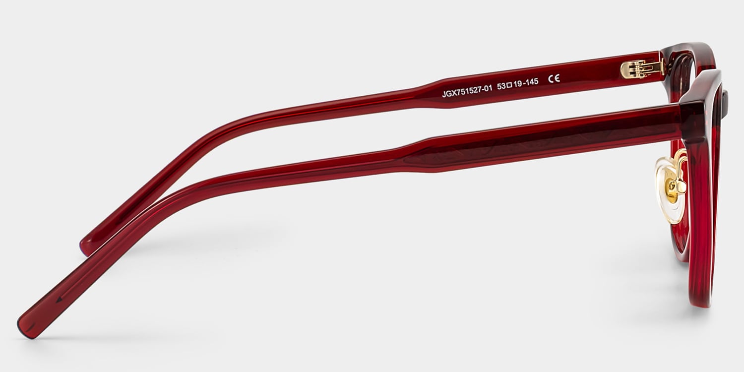 Hailey Red Frame Glasses with Square Frame Online | ZEELOOL