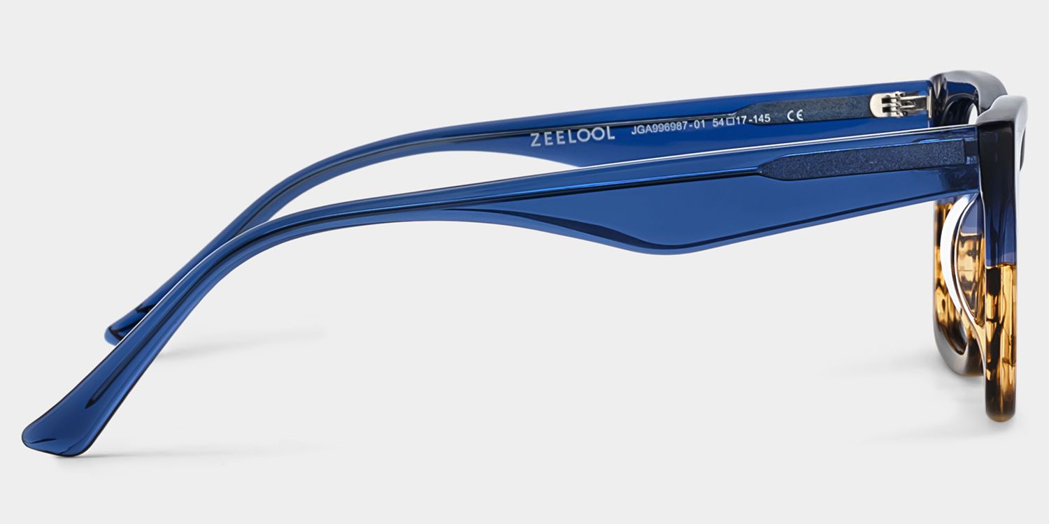 Rectangular Spectacle Frames with Brown Blue Color4