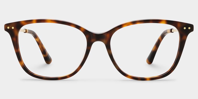 Finch Tortoise Rectangle Glasses