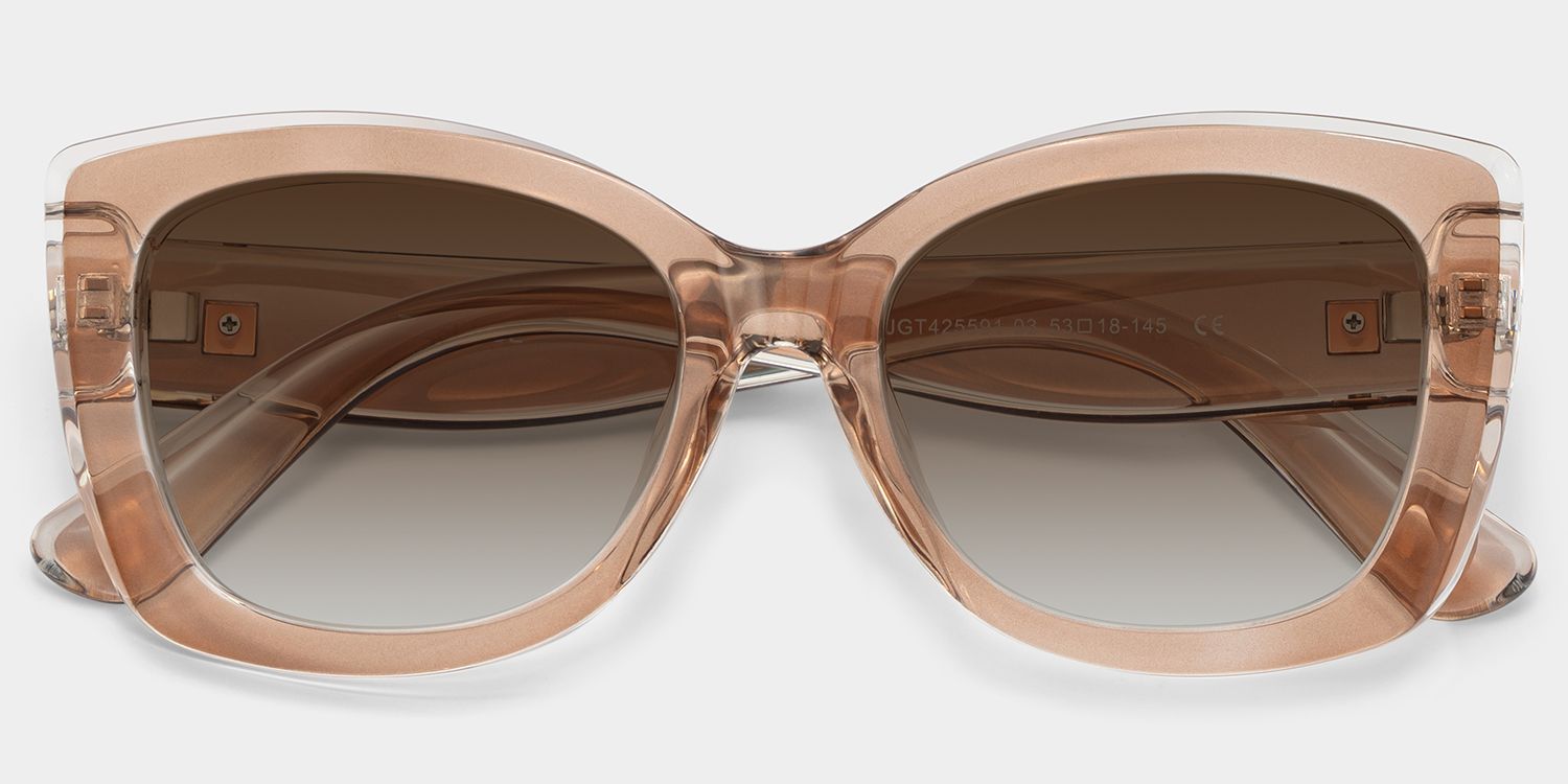 Rosie Thick Brown and Clear Butterfly Frames Sunglasses | ZEELOOL1