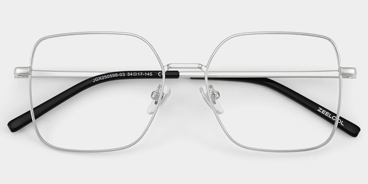 Abigail Square Silver Glasses