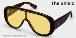 The Shield Tortoise Aviator Sunglasses3