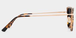Sloane Cat-Eye Tortoise Glasses3
