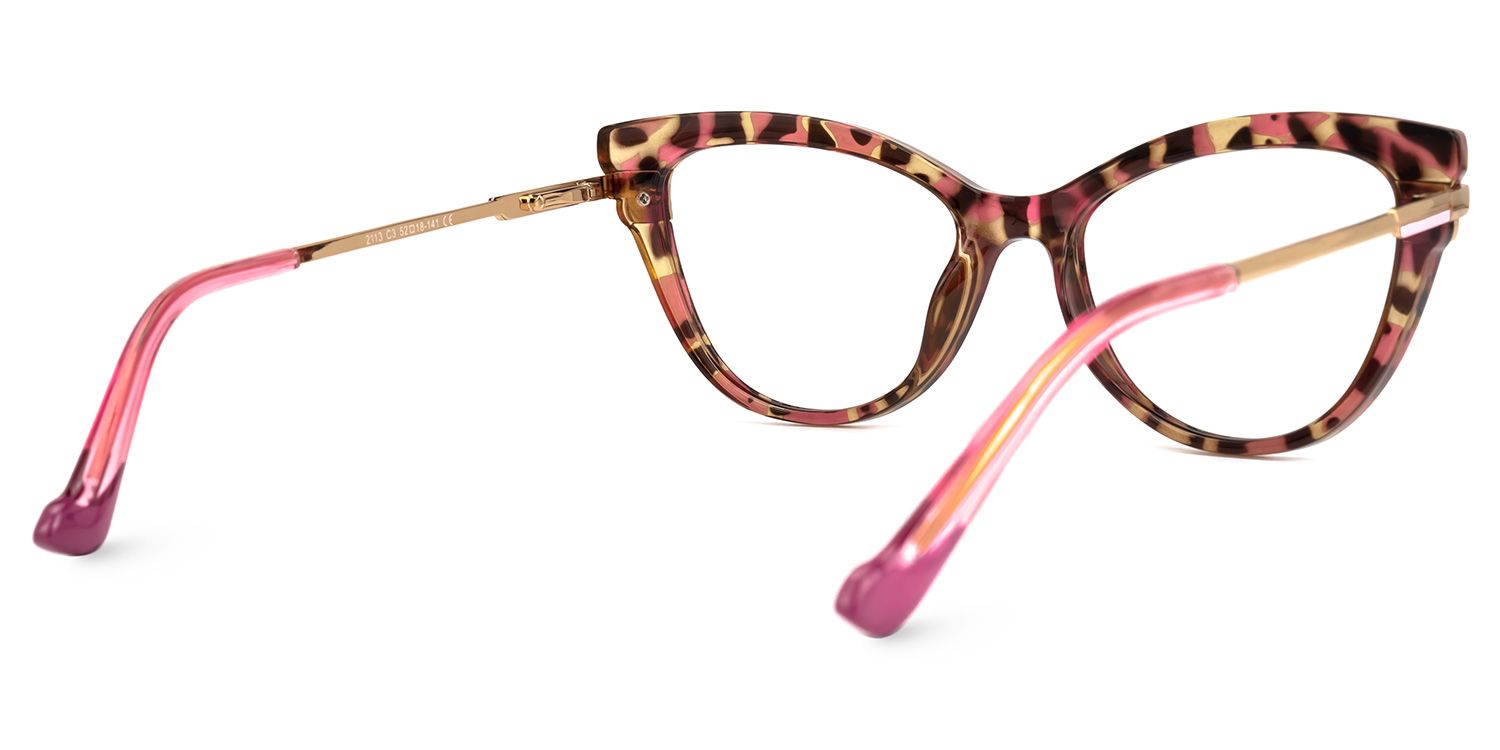 Spalburg Cateye Tortoise Glasses