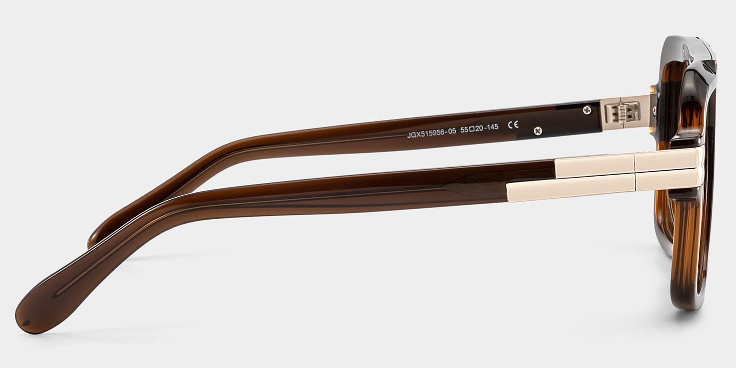 Croswell brown aviator glasses Online | ZEELOOL3