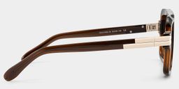 Croswell Aviator Brown Glasses3