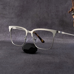 Cleo Browline Silver Glasses0