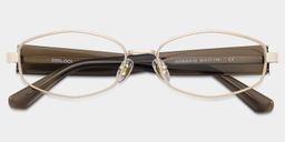 Dakota Brown Rectangle Glasses1