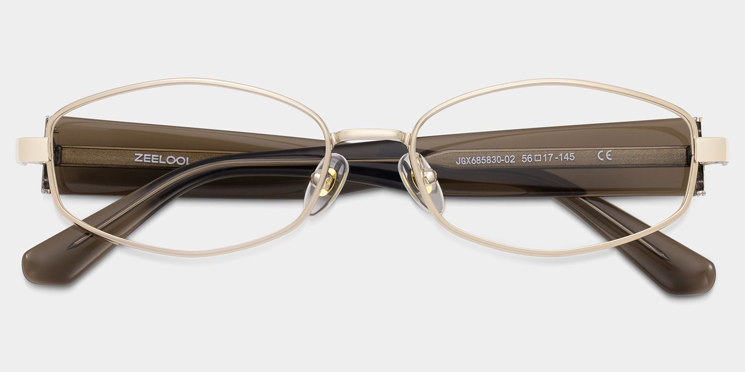 Dakota Cinnamon Rectangle Glasses for the Female | ZEELOOL2