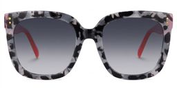 Ebony Square Gray-Tortoise Glasses0