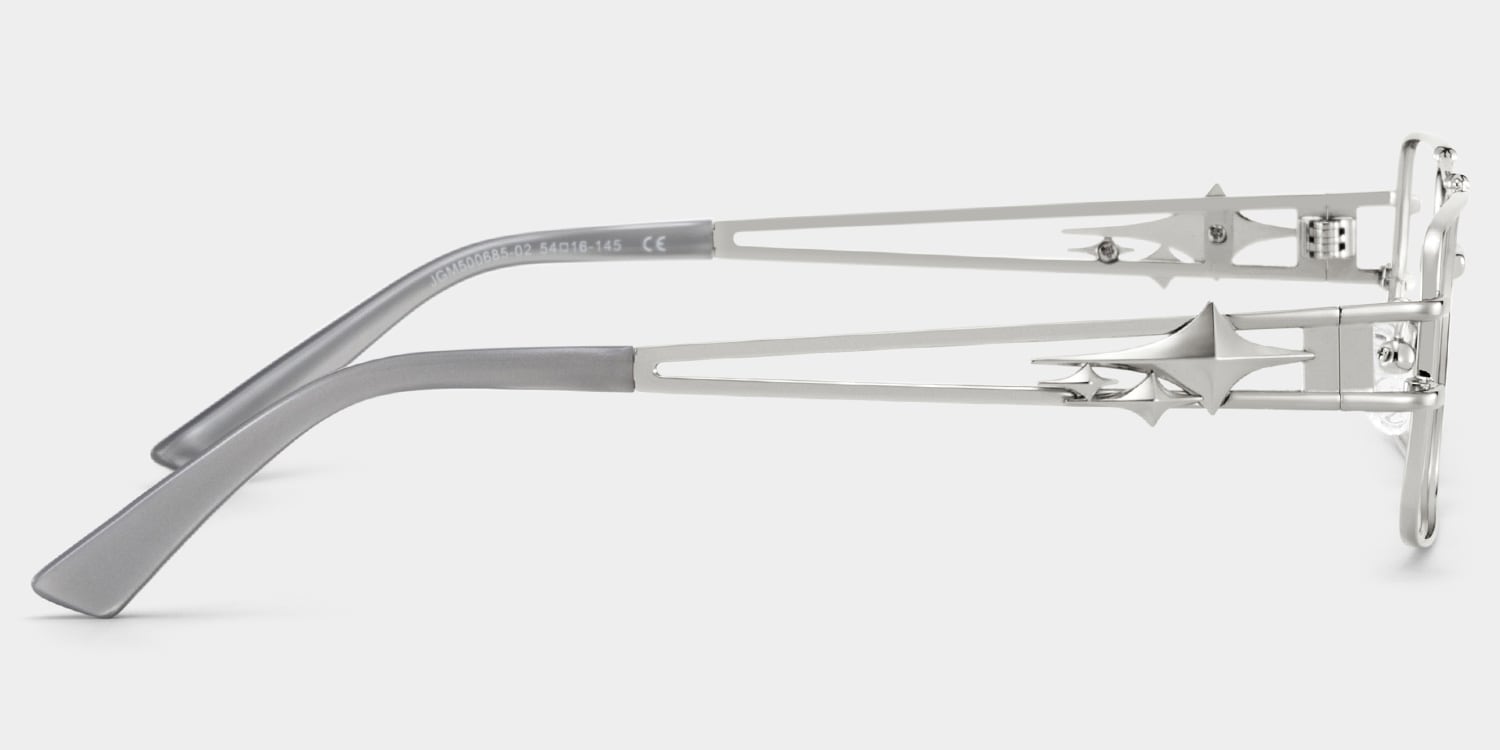 Eric Aviator Silver Glasses5