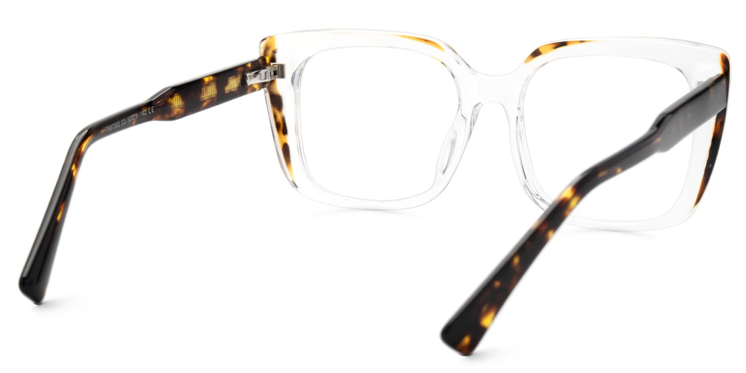 Valdez Crystal Eyeglasses with Square Design3