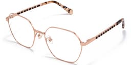 Dunbar Geometric Rose Gold Glasses2