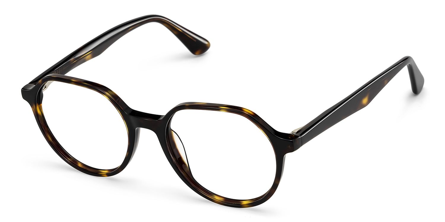 Hazel Geometric Tortoise Frame Eyeglasses for Man| ZEELOOL3