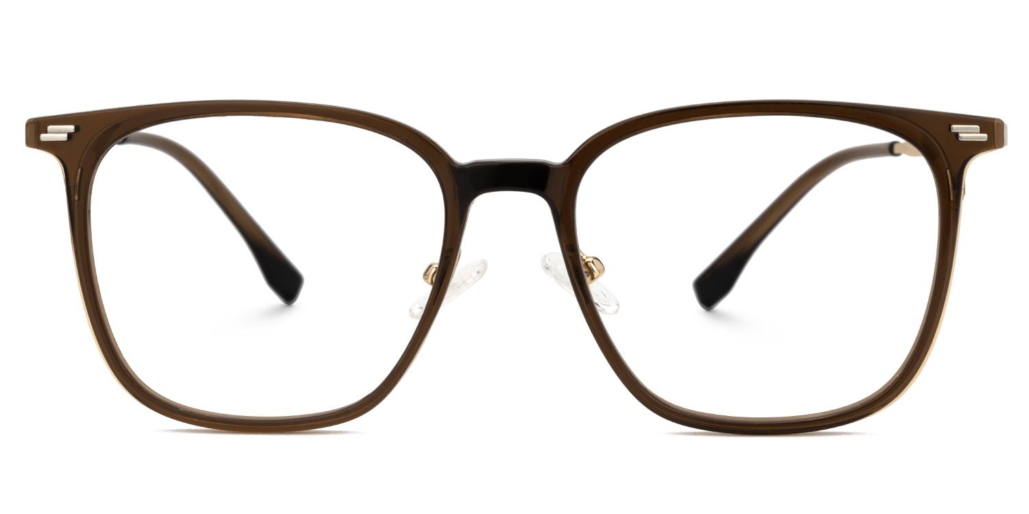 Brown Mixed-Material Rectangle Eyeglasses- Ridgley0