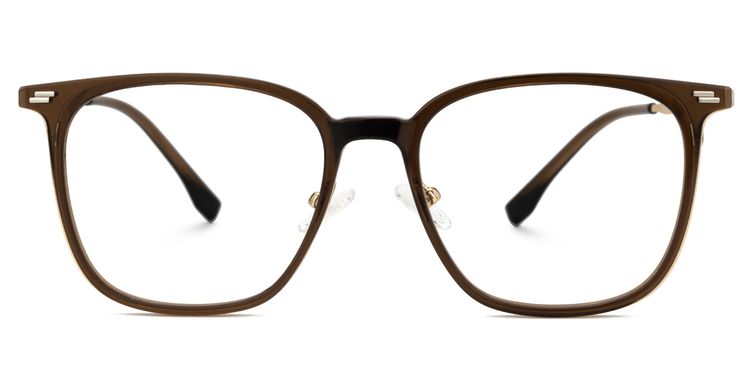 Ridgley Rectangle Brown Glasses