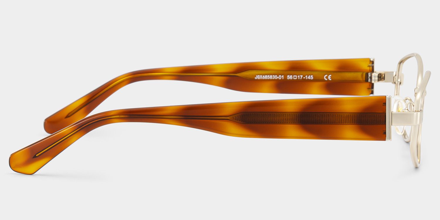 Dakota Warm Brown Tortoise Rectangle Glasses | ZEELOOL