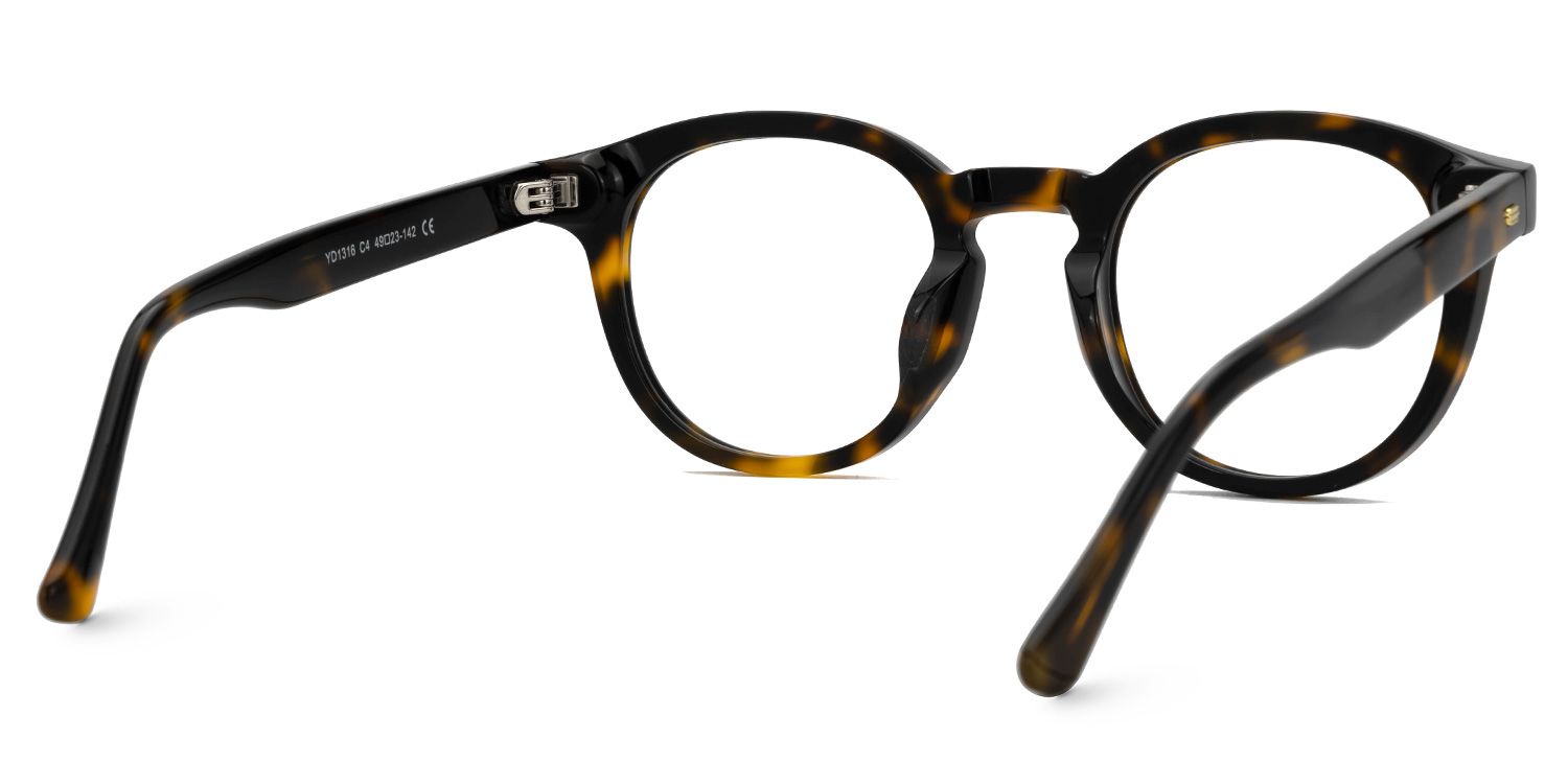 Dicks Eyeglasses in Round Tortoise Frame | Zeelool3