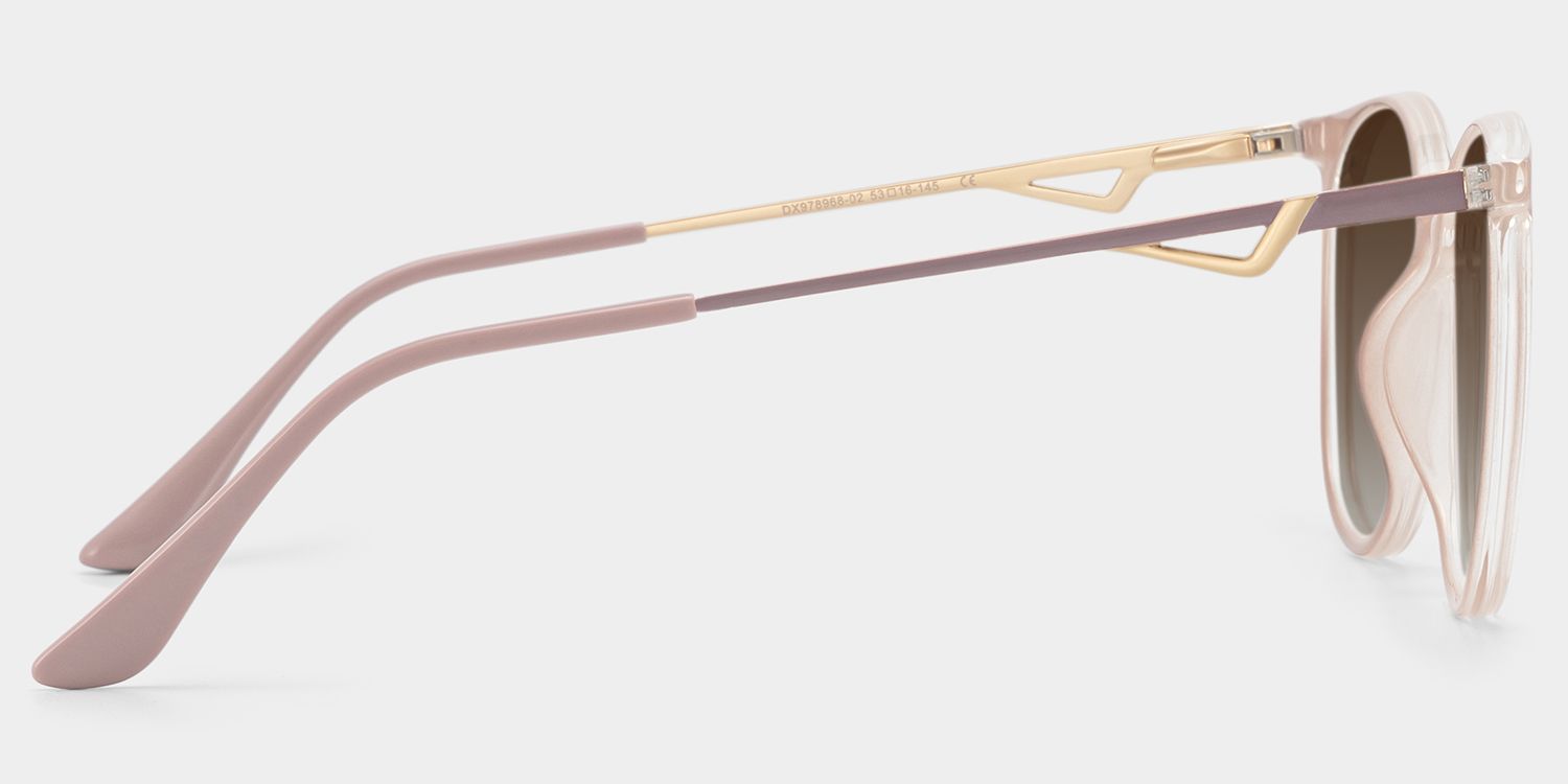 Chanty Mixed Pink Round Frame Sunglasses | ZEELOOL3