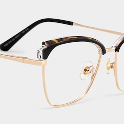 Phoebe Browline Tortoise Glasses5