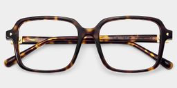 Talia Square Tortoise Glasses4
