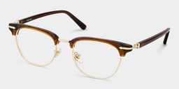 Capri Brown Browline Glasses2