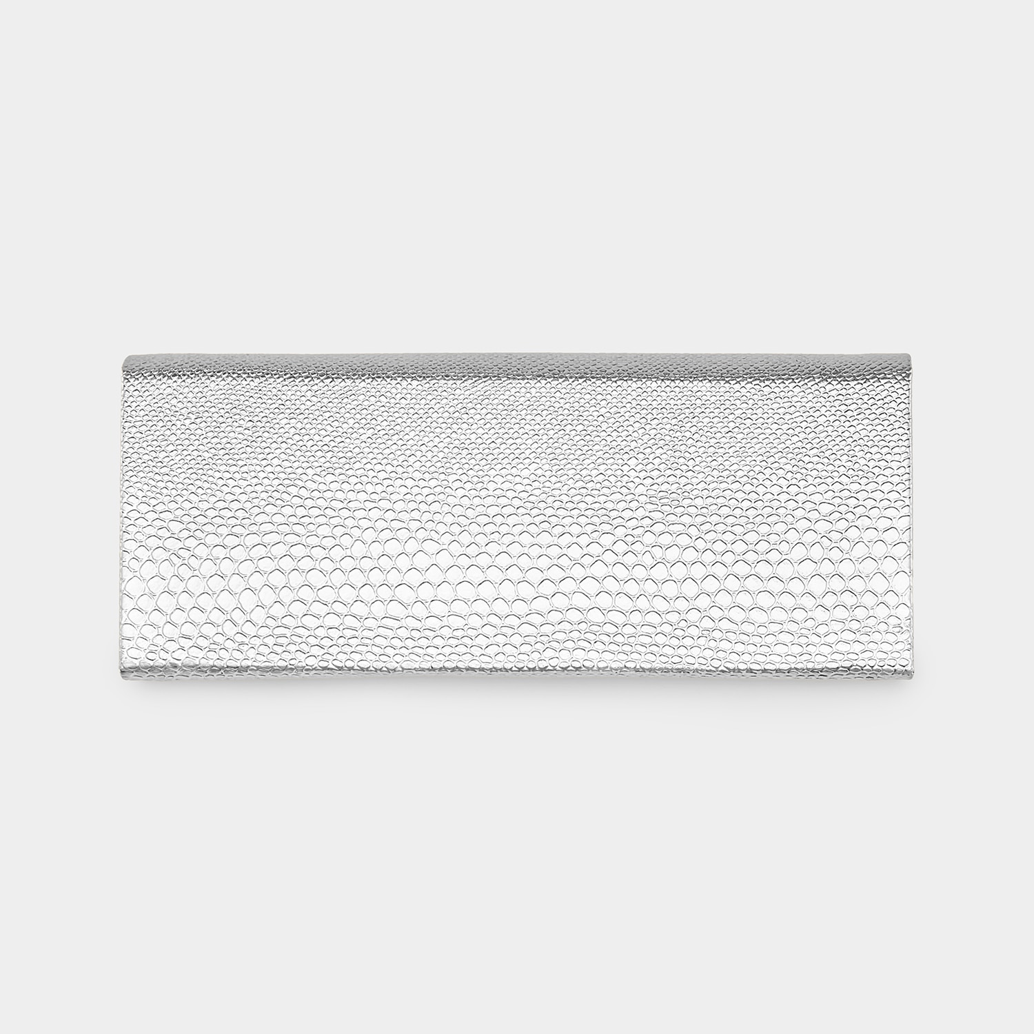 Silver Portable Glasses Storage Bag2