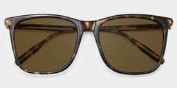 Malika Square Tortoise Polarized Sunglasses2