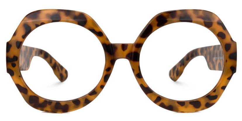 Geoffrey Tortoise Geometric Glasses