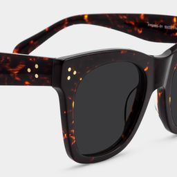 Gordon Rectangle Tortoise Sunglasses4