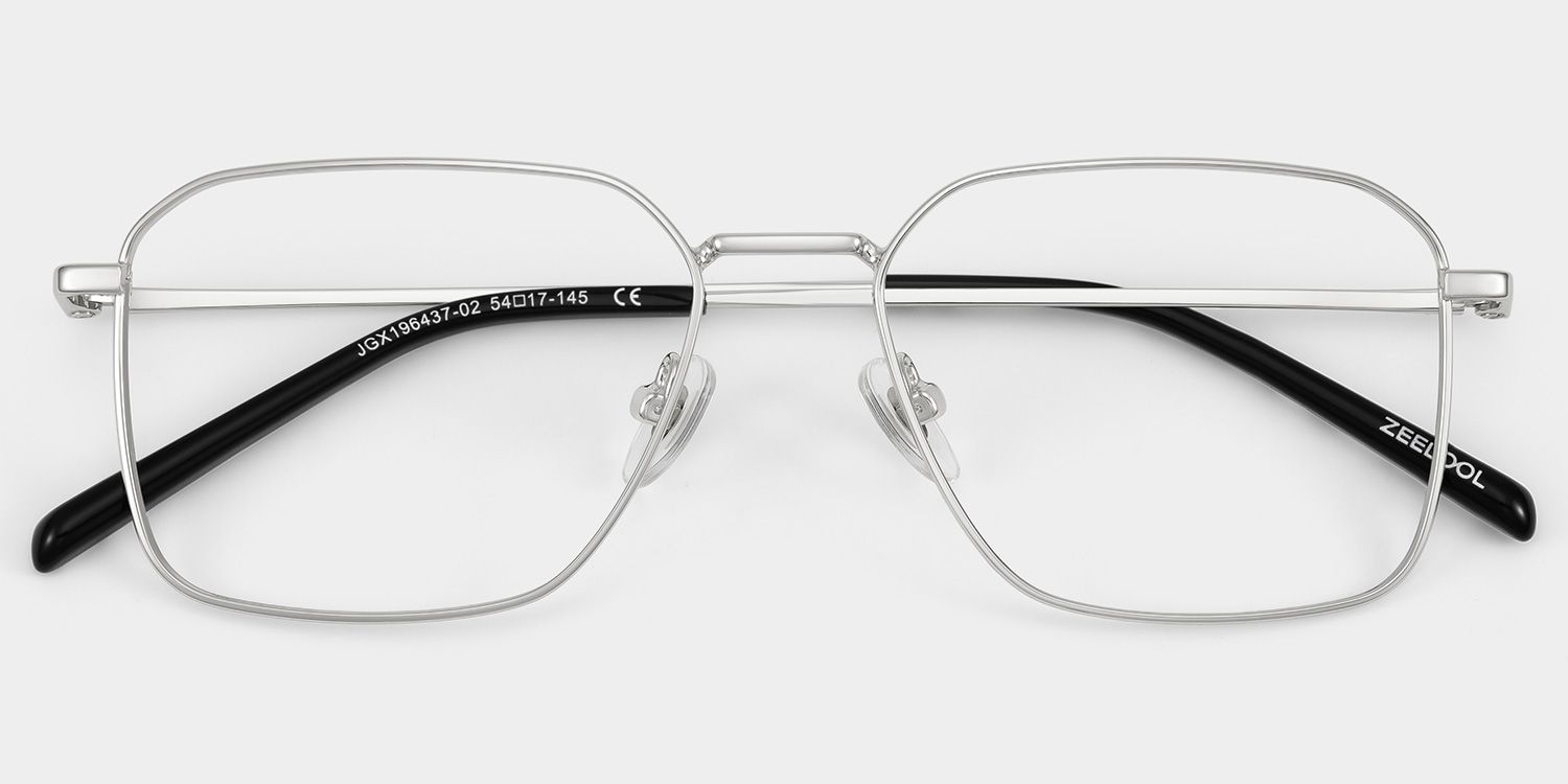 Leah Silver Eyeglass Frames for Men in Metal Material | ZEELOOL