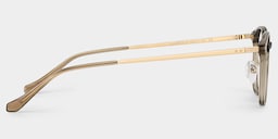 Mira Oval Brown Glasses6