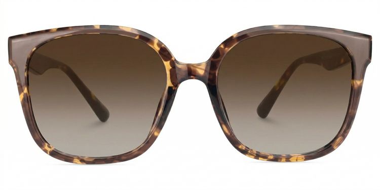 Siner Square Tortoise Glasses