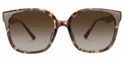 Siner Tortoise Square Sunglasses0
