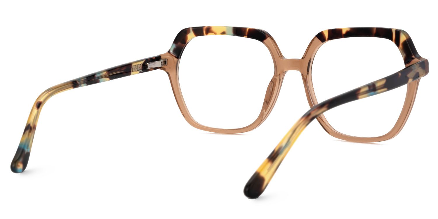 Two-Tone Acetate Geometric Eyeglasses- Janey3