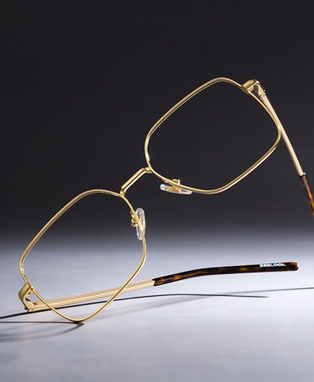 Abigail Tortoise Shell Glasses with Gold Arms for Women in Daily