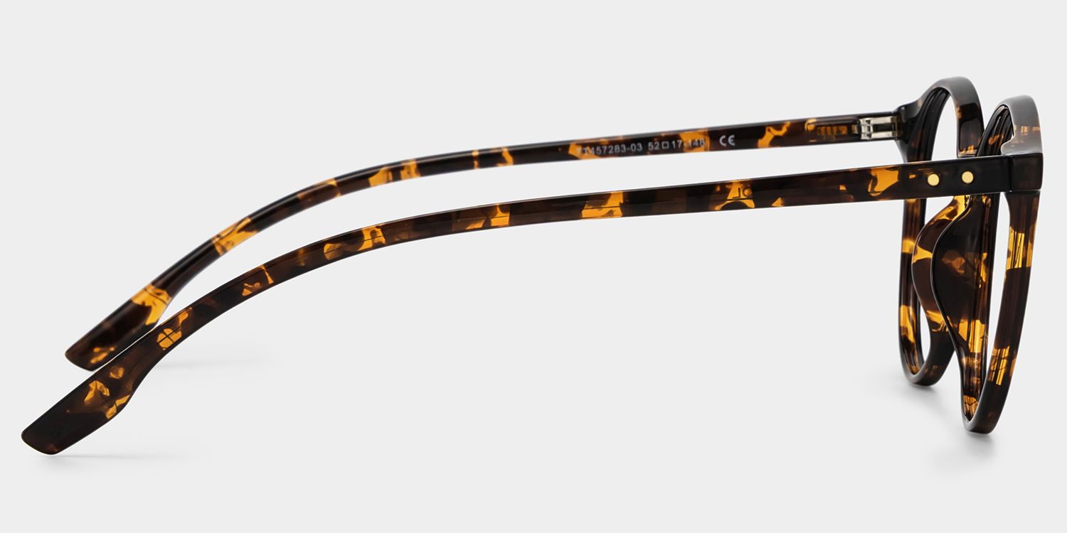 Blanco Round Tortoise Glasses | Zeelool Glasses3