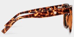 Ebony Square Tortoise Sunglasses3