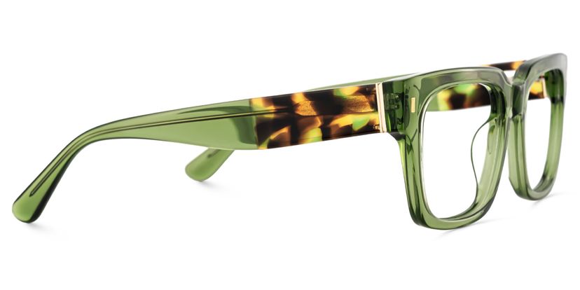 Clear Green Glasses Frames With Green and Tortoise Temples display picture 3