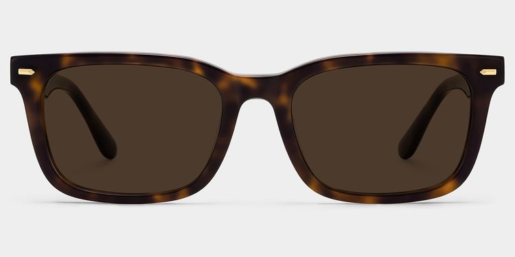 Patrick Tortoise Rectangle Sunglasses