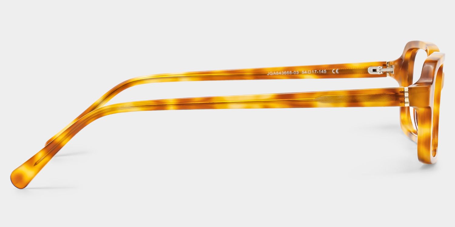 Danielle Light Brown Tortoise Shell Rectangle Glasses | ZEELOOL