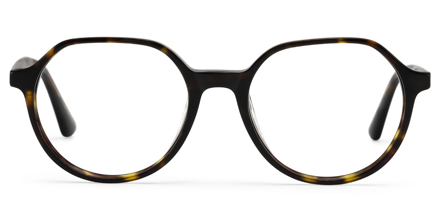 Hazel Geometric Tortoise Frame Eyeglasses for Man| ZEELOOL1