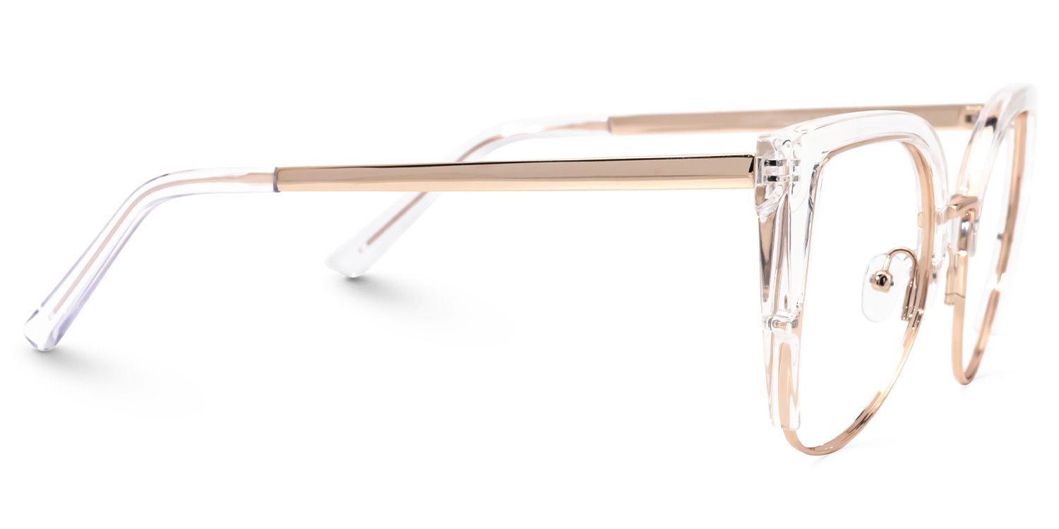 Brewer Cat-eye Crystal Eyeglasses and Glasses Frames2