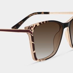 Tricee Square Tortoise Glasses4